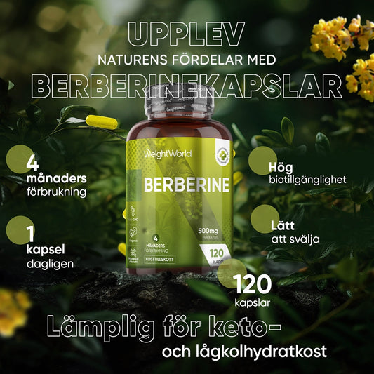Bilden visar bullet points med olika text för WeightWorlds Berberine burk