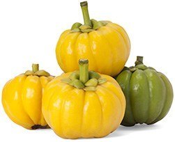 100% Naturligt Fyra stycken Garcinia Cambogia Superfruits ligger bredvid varandra mot en vit bakgrund