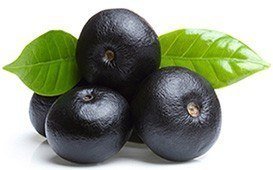 Bild på en klase acai berries med tillhorande blad mot en vit bakgrund Bild på en klase acai berries med tillhorande blad mot en vit bakgrund