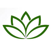 En symbol av en blomma med grona konturer som symboliserar lugn En symbol av en blomma med grona konturer som symboliserar lugn