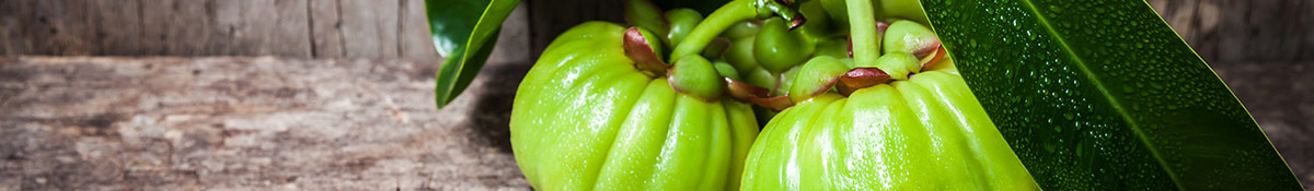 Bildrubrik for Garcinia Cambogia med Garcinia Superfrukt med tillhorande blad mot en neutral bakgrund