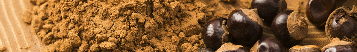 Bildrubrik banner for Guarana med bade pulver och superfrukten Bildrubrik banner for Guarana med bade pulver och superfrukten