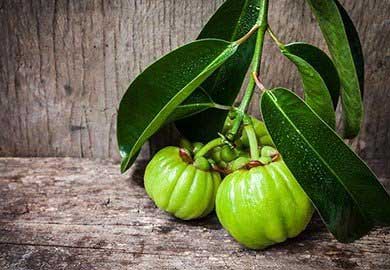 Garcinia Cambogia