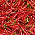 massor av roda chilifrukter med gron kvist sedda ovanifran massor av roda chilifrukter med gron kvist sedda ovanifran