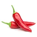 Två röda chilli ligger på varandra mot en vit bakgrund Två röda chilli ligger på varandra mot en vit bakgrund