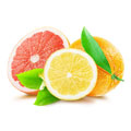 en halv citron, en halv grapefrukt samt en hel apelsin och grona blad mot en vit bakgrund en halv citron, en halv grapefrukt samt en hel apelsin och grona blad mot en vit bakgrund
