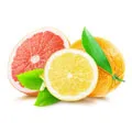 en halv citron, en halv grapefrukt samt en hel apelsin och grona blad mot en vit bakgrund