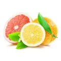 en halv citron, en halv grapefrukt samt en hel apelsin och grona blad mot en vit bakgrund en halv citron, en halv grapefrukt samt en hel apelsin och grona blad mot en vit bakgrund
