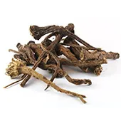 Dandelion Root