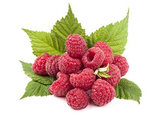 Vart köper jag Garcinia Cambogia och Raspberry Ketone? En knippa med farska hallon och tillhorande blad mot en vit bakgrund