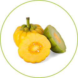 3 garcinia cambogia superfood mot en vit bakgrund