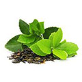 tva farska grona te blad och en hog med torkat gront te tva farska grona te blad och en hog med torkat gront te