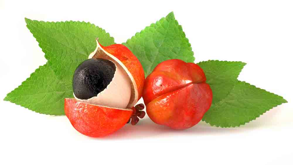 hur man gar ned i vikt med guarana hur man gar ned i vikt med guarana