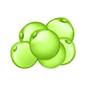 Lipidmetabolism Lipidmetabolism