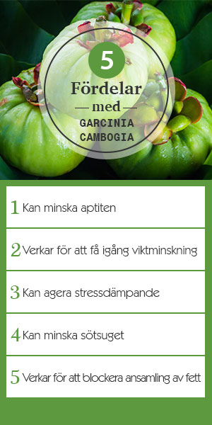 Infographic som forklarar fem olika fordelar med Garcinia Cambogia