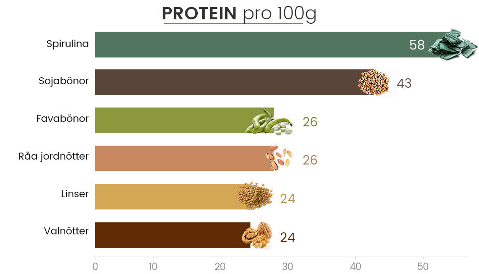 Infographic med information om protein och innehall i Spirulina Infographic med information om protein och innehall i Spirulina