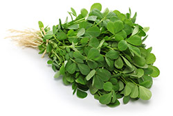 ett knippe fenugreek eller bockhornklover mot en vit bakgrund