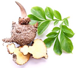 Bild pa konjak frukten med tillhorande blad som syns mot en vit bakgrund