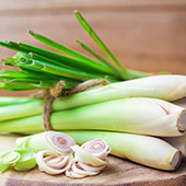 Lemongrass Lemongrass