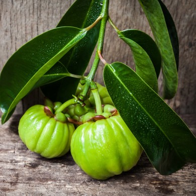 Viktigt att veta innan du börjar med Garcinia 