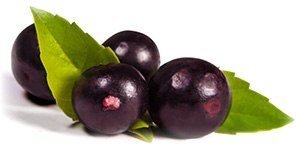 acai bär acai bär