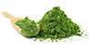 Chlorella