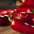 Capsaicin Capsaicin
