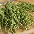Salicornia Salicornia