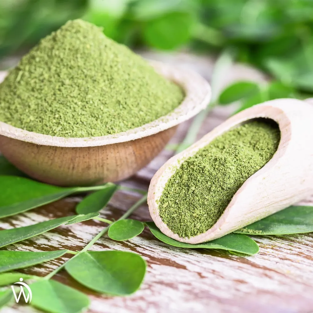 Lättsvalda moringa kapslar från WeightWorld för hälsa och välmående