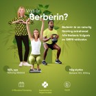 Berberine 500 mg kosttillskott för blodsockret