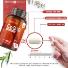 CoQ10 som stöttar immunförsvar och energin