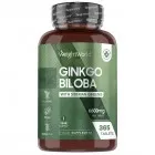 Ginkgo Complex