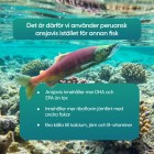 Helt underbara omega 3 fiskolja kapslar som gör att du får en hög daglig dos av omega 3