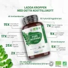 organiska moringa kapslar för återhämtning