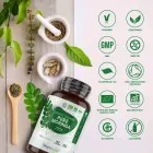Moringa kapslar som är rik på kalcium, järn och antioxidanter för blodtryck och blodsocker