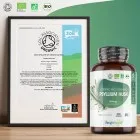 Naturliga och ekologiska Psyllium Husk kapslar för matsmältningen