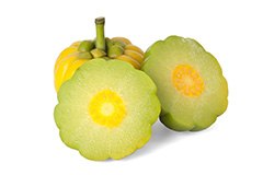 garcinia cambogia färsk frukt