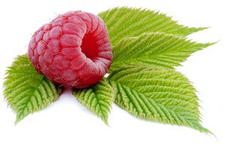 Fördelar med Raspberry Ketone i din diet
