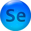 Selen Selen