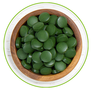 En skal med grona spirulina tabletter ligger mot en vit bakgrund En skal med grona spirulina tabletter ligger mot en vit bakgrund