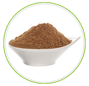 En vit skal fylld med Super Guarana som ar ett brunt pulver. Vit bakgrund En vit skal fylld med Super Guarana som ar ett brunt pulver. Vit bakgrund