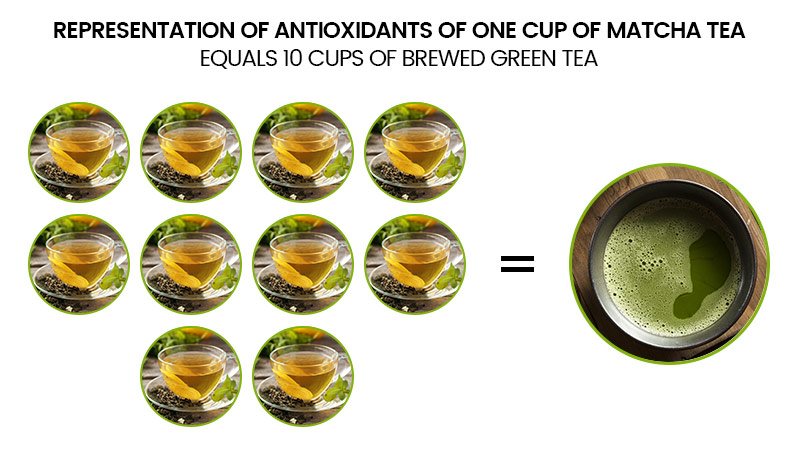 Representation of Antioxidants of one cup of matcha tea equals 10 cups of brewed green tea