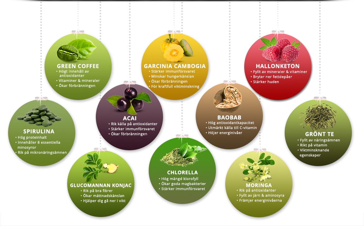 wwse-superfoods-infograph
