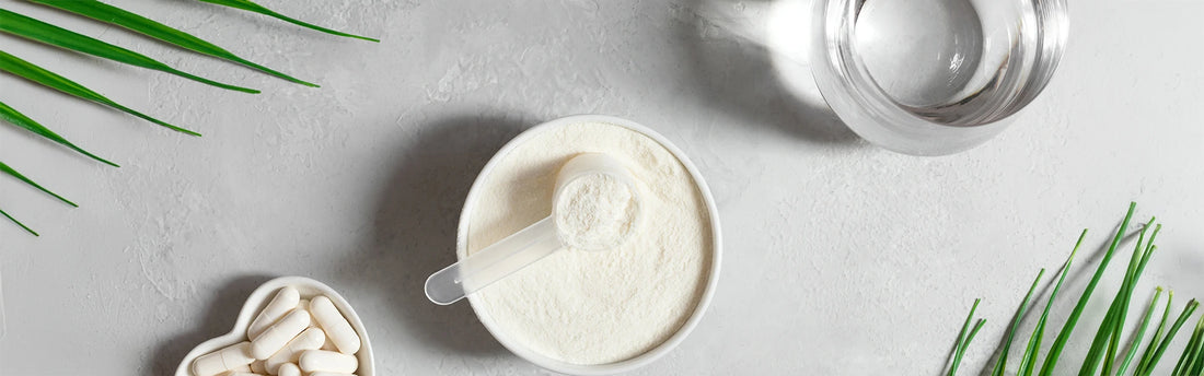 5 hälsofördelar med kollagen (för ben och leder)