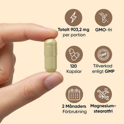 ashwagandha-extract-ksm-250mg-se-4