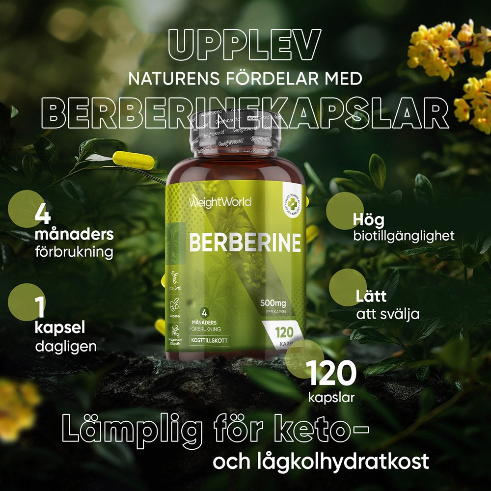 Bilden visar bullet points med olika text för WeightWorlds Berberine burk