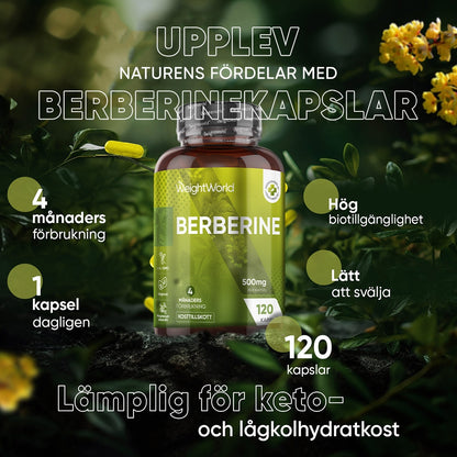 Bilden visar bullet points med olika text för WeightWorlds Berberine burk