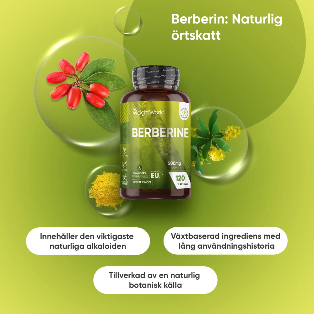 berberine-capsules-se-2