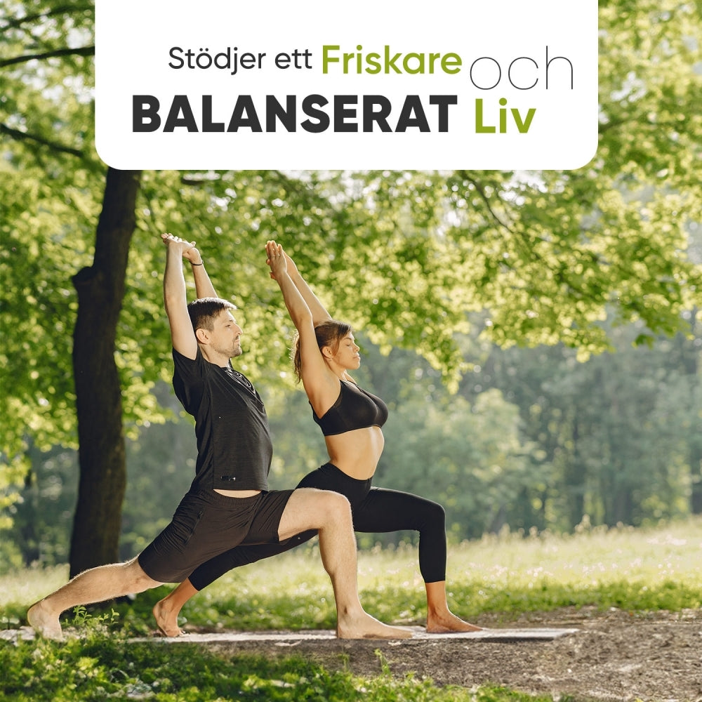 Två personer som gör yoga ute i skogen