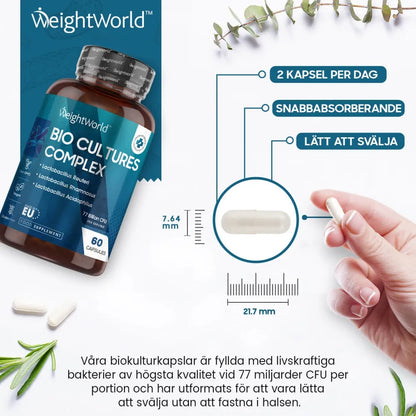 bio-culture-complex-se-04